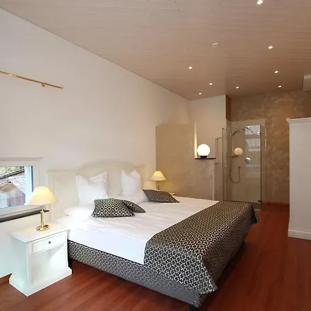 Toni'S Alpine Loft & Spa Kandersteg Room photo